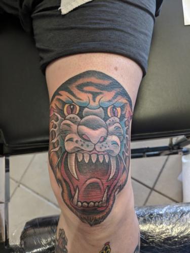 MVIMG_20180226_144920