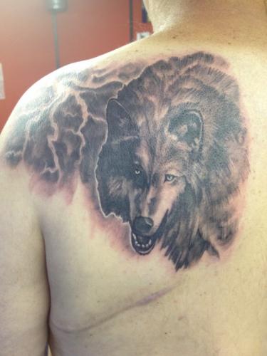 Phone photos-videos 204