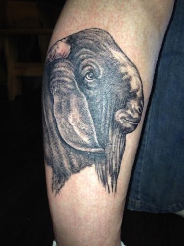 Phone photos-videos 423