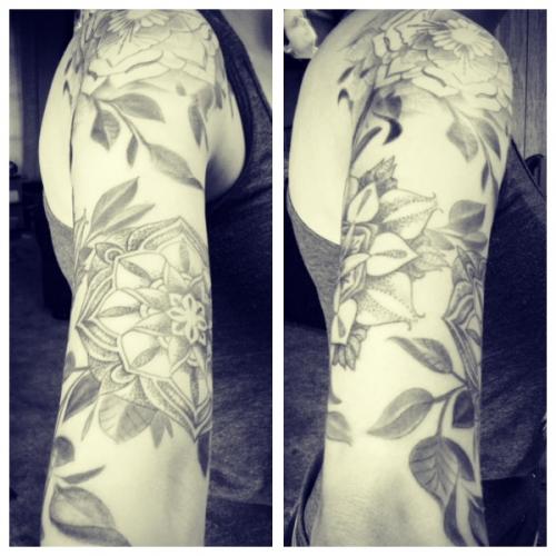 Phone photos-videos 448