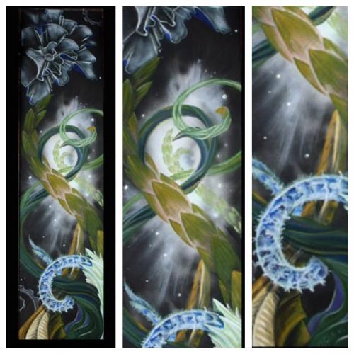 Phone photos-videos 462