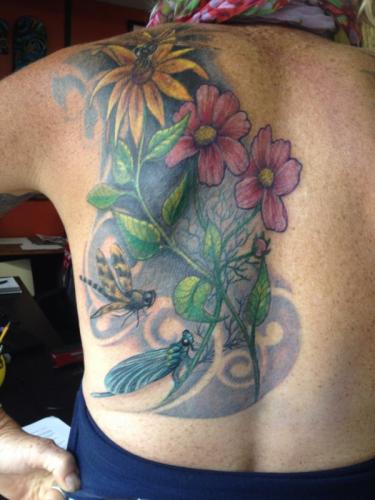 Phone photos-videos 476