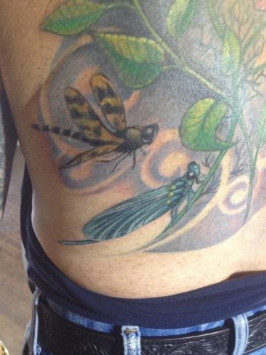 Phone photos-videos 480