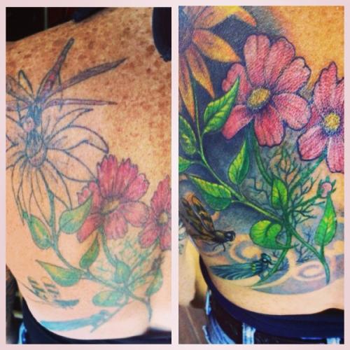 Phone photos-videos 483