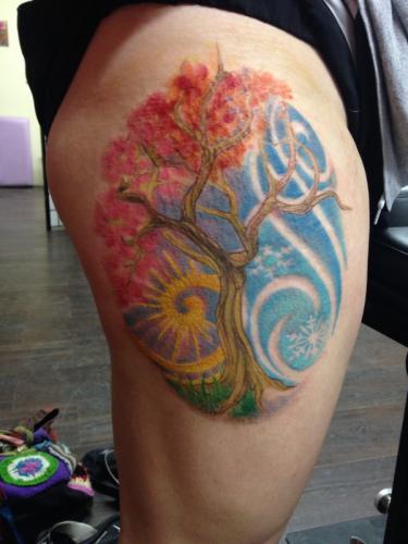 Phone photos-videos 566